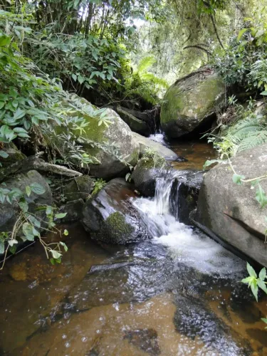 Terreno 20,6 Hectares em Delfim Moreira MG <br>DelfimMoreira-Mg
