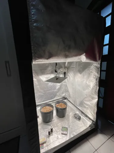 Grow COMPLETO para Cultivo!