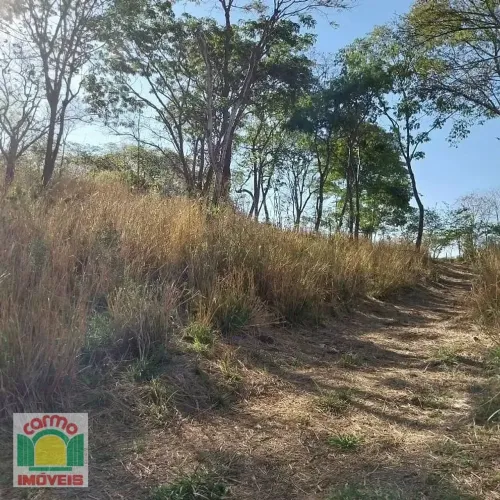 Excelente chácara a Venda com 30.000M2, no seguimento da Avenida Souzânia Jaiaraa