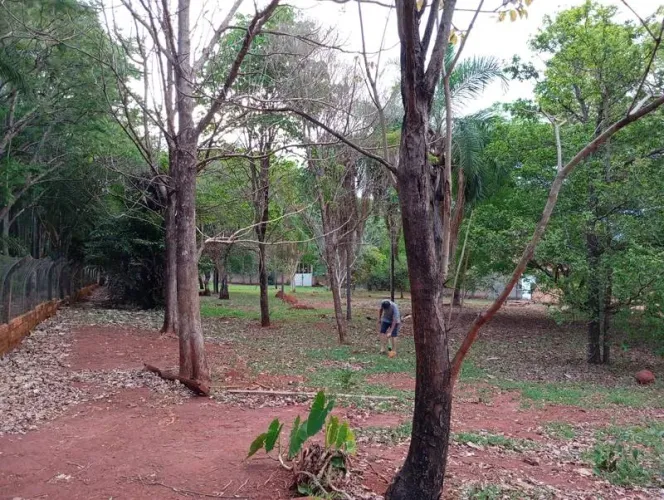 Vendo Chácara em Senador Canedo 5.412,89 m² asfalto na porta