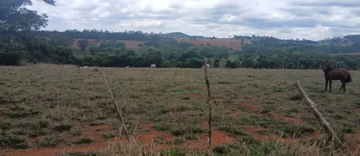 Chácara em Trindade/GO: Natureza, Conforto, Tranquilidade e ótima Localização!