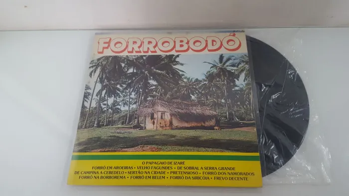 Vinil ForróBodö