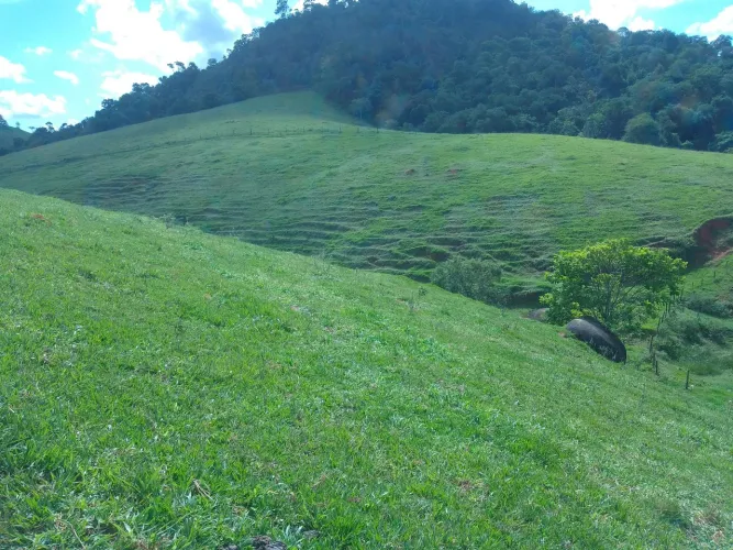 Sítio Cariacica