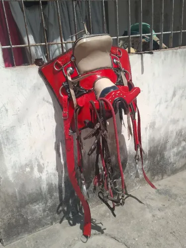 Cela casquinho antiga