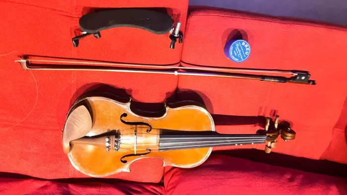 Violino