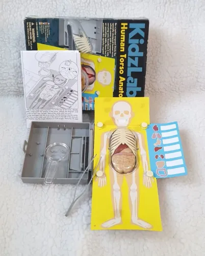 Brinquedo Educativo de Anatomia Kidzlabs importado e completo