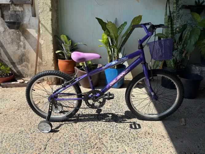 Bicicleta Infantil Aro 20 + Rodinha Feminina Passeio Dalannio Bike Cor Lilás