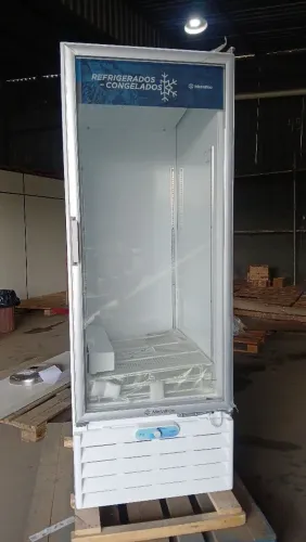 Freezer vertical