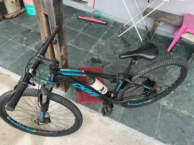 Bicicleta oggi 29