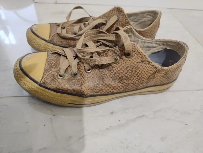ALL star colecionador couro cobra bege 37