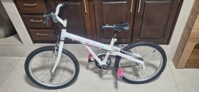 Bicicleta Infantil aro 20 feminina