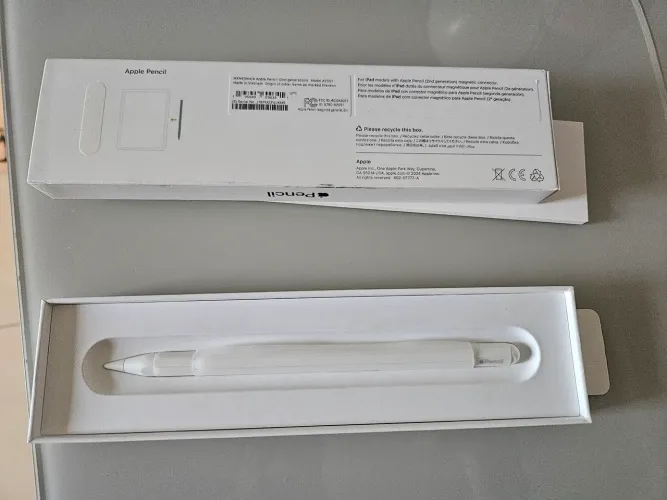 Apple Pencil (2ª Geração)