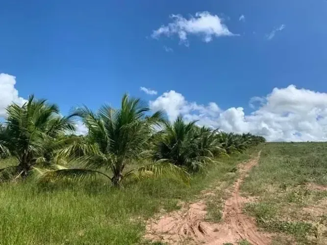 Fazenda com 40 hectares na região de ARÊS 1 km da BR101