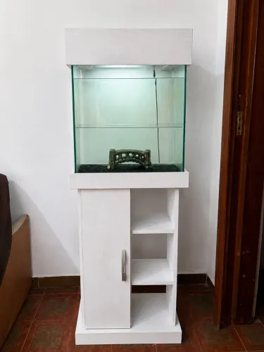 Aquário 60L