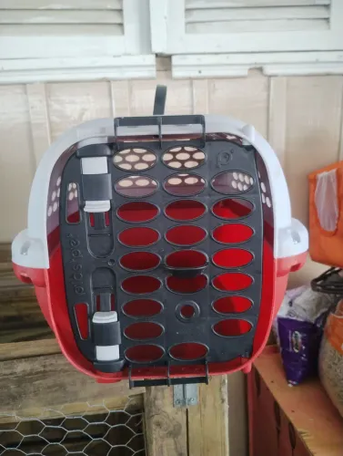 Caixa de transporte de animais