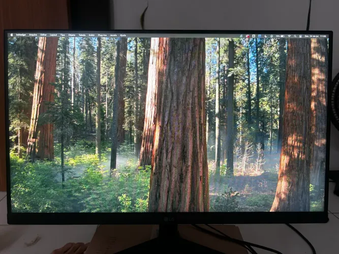 Monitor Gamer LG UltraGear 24" IPS Full HD 1920 x 1080 144Hz 