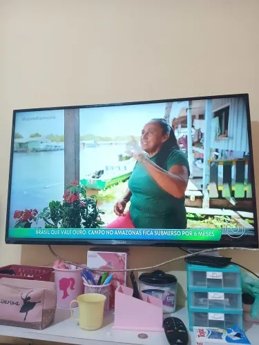 Televisão  40 polegadas  tela plana