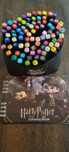 Kit 80 Cores de Canetinhas + Livro Harry Potter