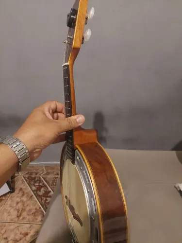 Banjo rozini