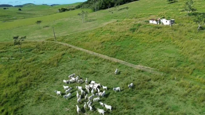 Fazenda para Venda em Rio Bonito, Área Rural, 3 dormitórios, 1 suíte, 2 banheiros, 2 vagas
