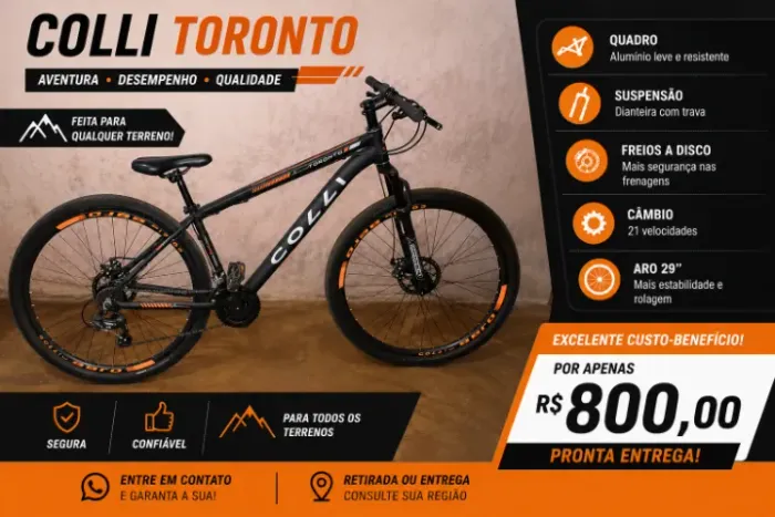 Bicicleta