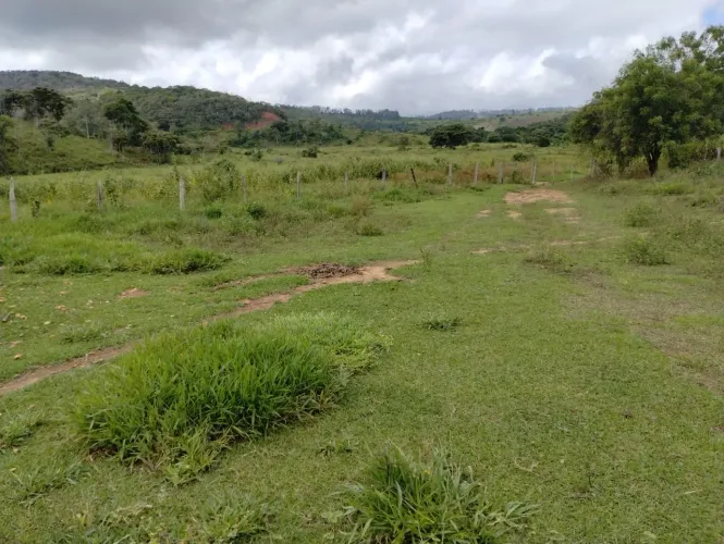 333 alqueires 1611 hectares