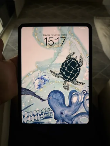 IPAD PRO M4 11 polegadas