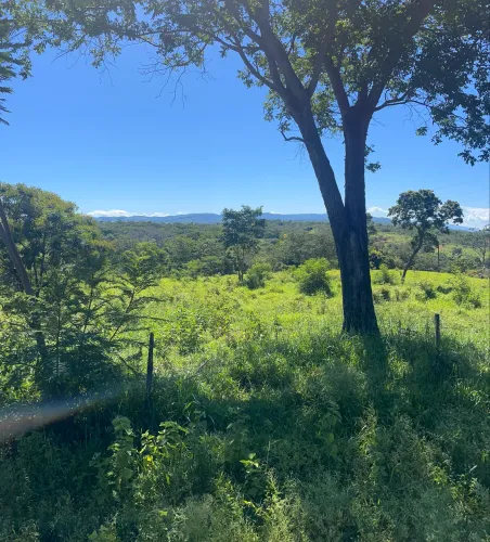 Fazendinha em terreno , a4km de Baldim