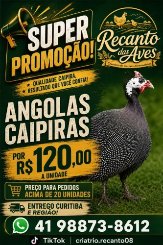 PROMOÇÃO DE ANGOLAS CAIPIRAS!
