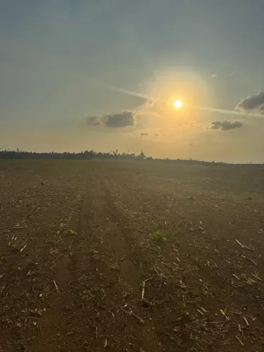 Fazenda a venda pronta para a lavoura de soja e de Milho no Município de Dom Elizeu - Pará