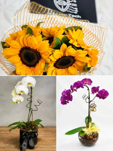 BUQUES EM GERAL ARTIFICIAL E NATURAL * ENCOMENDA