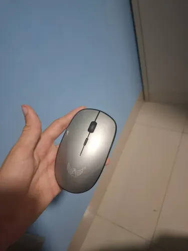 Mouse