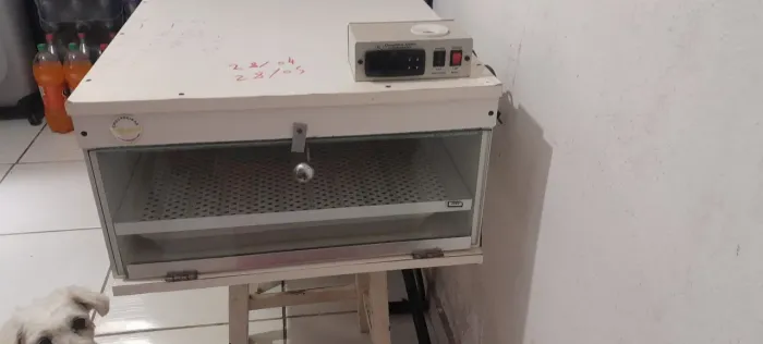 Vende se 02  chocadeira!