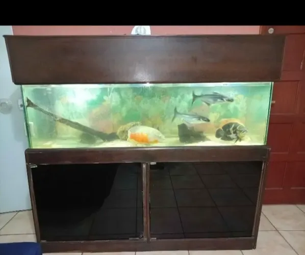 Aquário