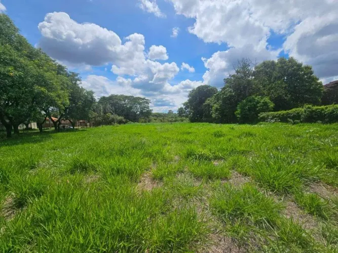 Terreno, 3245 m² - venda por R$ 850.000,00 ou aluguel por R$ 3.750,00/mês - Santa Rita - P