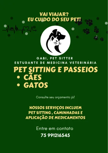 Pet sitter/ Babá de animais/ passeios com cães
