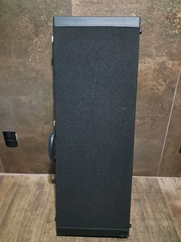 Case estojo les Paul