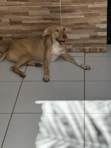 Doação