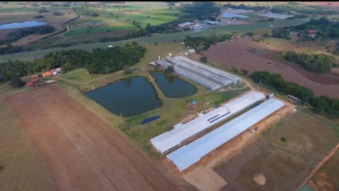 Sitio c/ Granja 8 Alqueires, 6 barracões Modernos sendo 2 Barracões Novo, Granjas Automáti