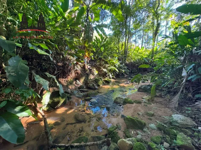 Sítio à Venda no Bairro Louro Antônio Carlos/SC