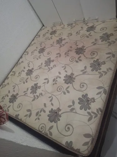 Cama