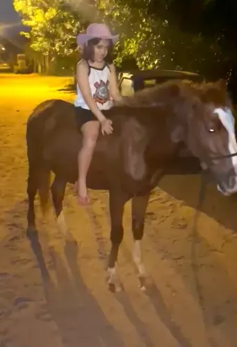 caCavalo para crianças, ele tem 7 anos, super manso, pode passar por traz, por baixo, não 