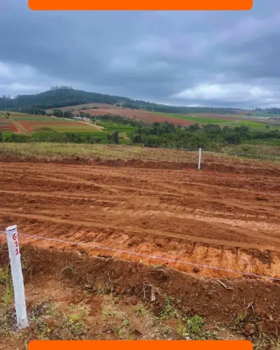 More em um lugar tranquilo, com muito verde e excelente localização em Cotia