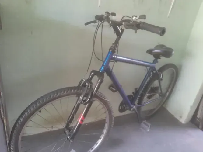 Bicicletas