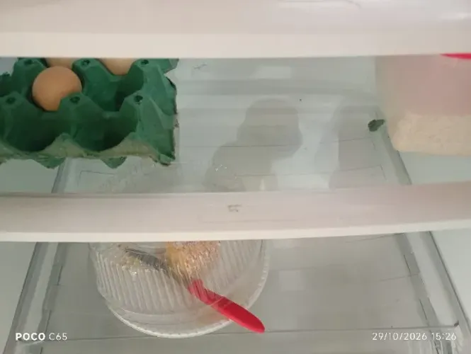 Geladeira Inox ZERA 220V