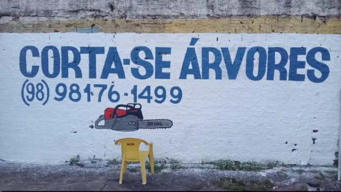 CORTA- SE ARVORES 