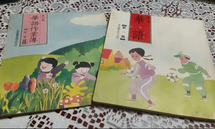 Livro escolar de escrita chinesa - totalmente em Mandarim
