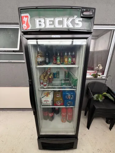 Cervejeira freezer 556L