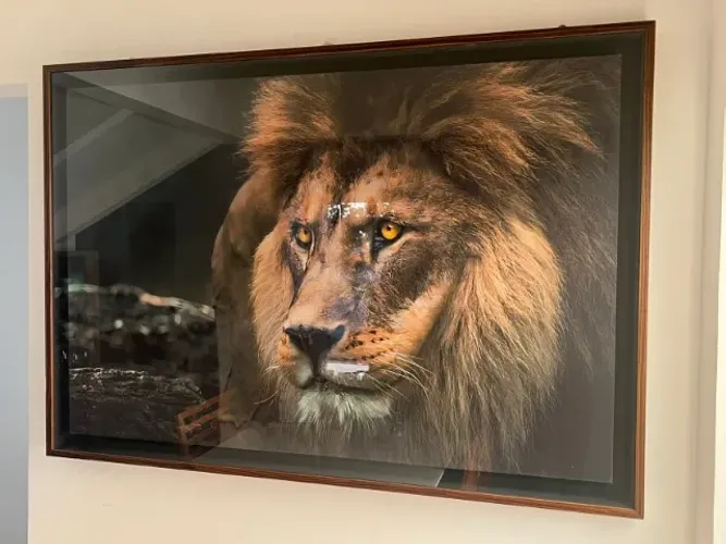 quadro decorativo