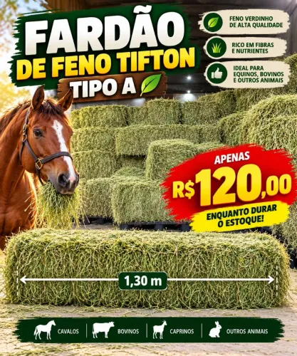 Feno para cavalo